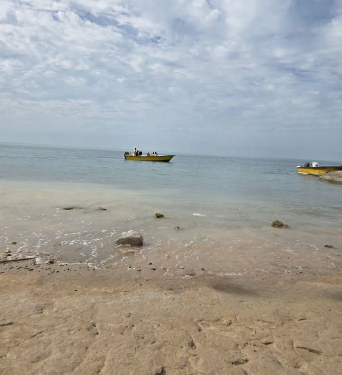 ✍️ بوشهر در نفسِ آرام صبح(09,05,چهارشنبه)🚤💯
