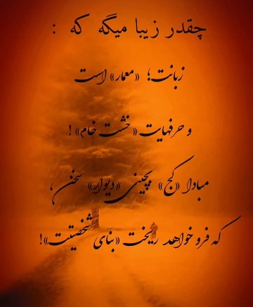 بدون شرح 🌷🌷