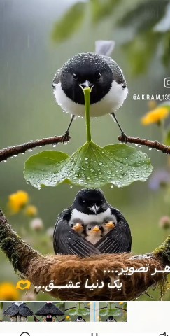 سلام کسای که خبری جدید ریختن کامنت حذف نمیشه نسخه .9.14بریزن