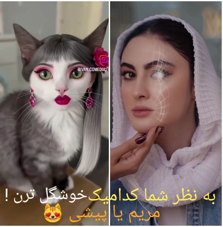 کدامیک !!؟؟؟🙄☝️