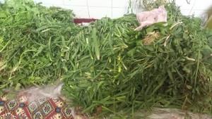 بنظرتون غلط کردم واسه همچی روزی نیس🥺🤕🤣🤣