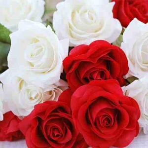 روزتون خوش 💋🌹🌹