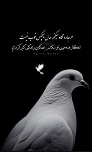 صفا باشه روزتون... 🤞🕊🍁