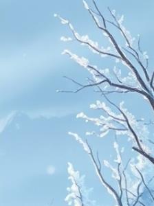 لایک نکن پازل 7/9