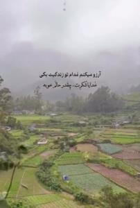 🦋اللهی همیشه لباتون بخنده 🦋