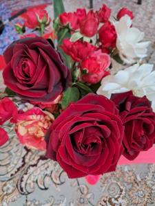 این گل و تقدیم میکنم به دوست های مهربانم 💚💚🌹🌹