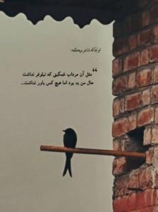 اما هیچکس باور نداشت💔😊🥀