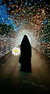 نشان از فقدان..... 