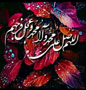 شادی روح همه رفتگان فاتحه و صلوات🌺🌺