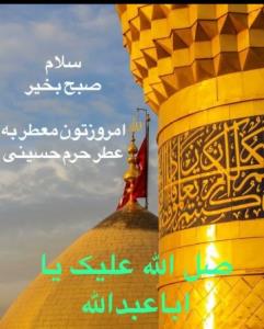 سلام صبح بخیر امروزتون معطربه عطرحرم حسینی دوستان گلم 💚💚✋️