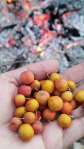 جاتون خالی 🌹🌹🌹