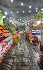 شیراز،قصردشت..