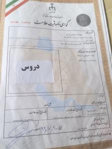 شاهین کولیوند 