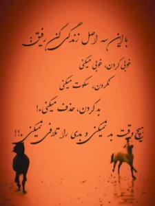 آرامش یعنی همین👌🏻🤸🕊️😂