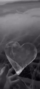 ترانه ی سکوت حمید هیراد.