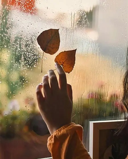  #پاییز جان با که سر جنگ داری؟