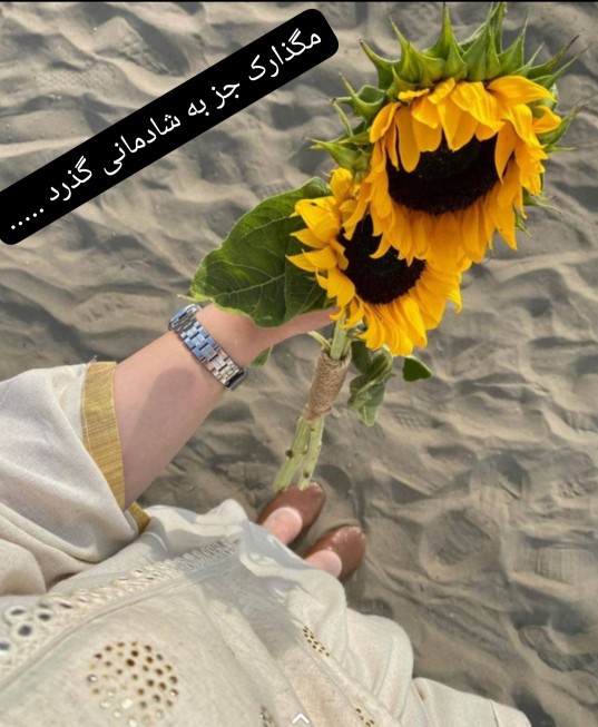 روزتون عالی و پر نشاط 