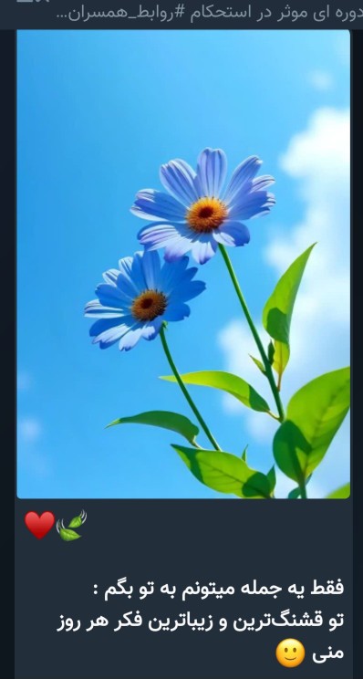 ❤️❤️❤️❤️