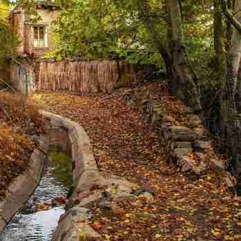 سلام صبحتون بخیر 