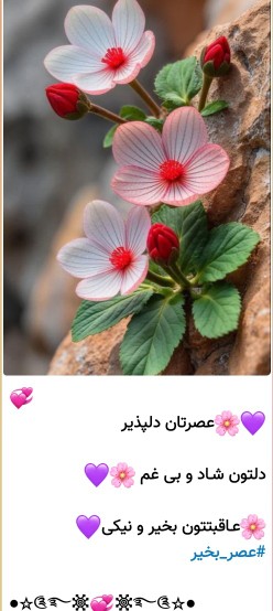 عصرتون دلپذیردلتون شادبی غم عصرتون بخیرونیکی دوستان گلم 🌺🌹
