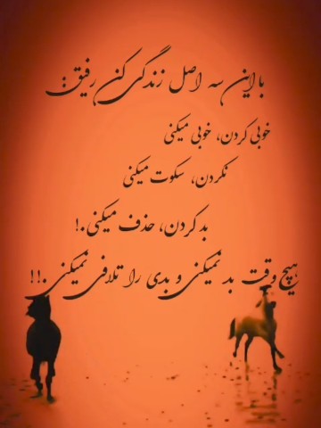 آرامش یعنی همین👌🏻🤸🕊️😂