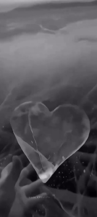 ترانه ی سکوت حمید هیراد.