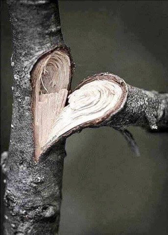 2️⃣6️⃣8️⃣