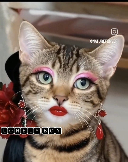 💙💙💯💯💙💙