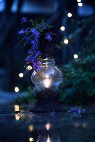 شبتون رویایی💗💗