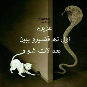 عزیزم‌اول‌تهی‌قضیه‌وببین‌بعدلات‌شو