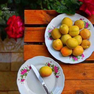 سلام جاتون حسابی خالی 