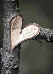 2️⃣6️⃣8️⃣