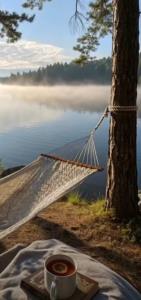 ❤️‍🩹ازین آرامشا موخام که توش تاب داشته باشه😃