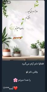 💚💚💕💚💕💚💕💚