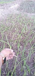 خسته نباشم🥴🥴😁😁