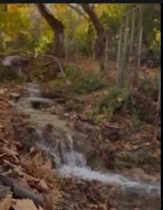 پاییزروستای پدریم 😔😔🖤