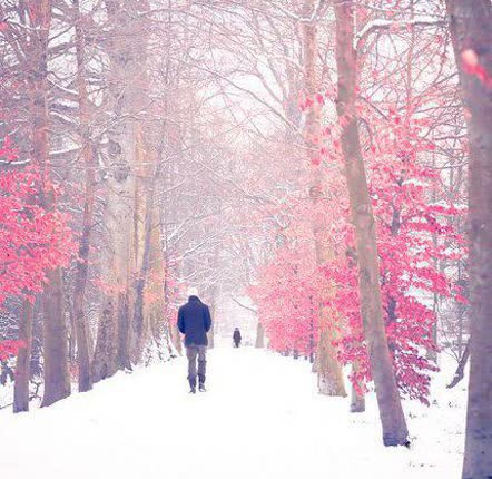 تا میتونی به خودت برس