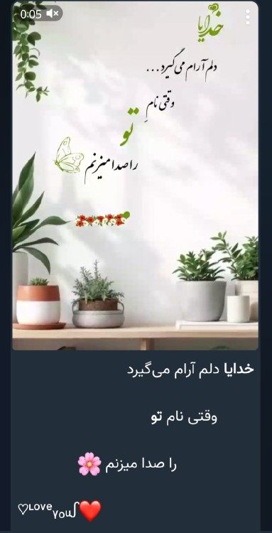 💚💚💕💚💕💚💕💚