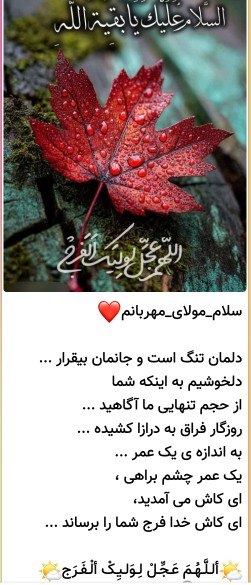 ای کاش خدافرج شما را نزدیک کند🤲اللهم عجل لولیک الفرج 💚🤲