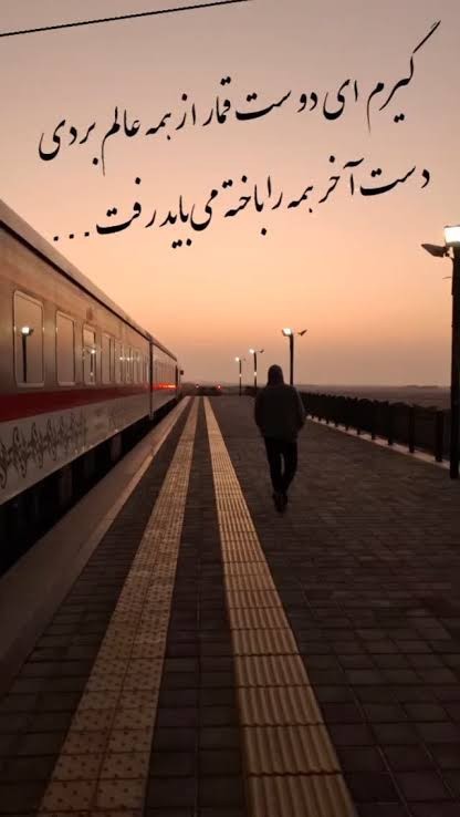 صائب تبریزی