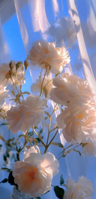 امام جعفر صادق علیه السلام می فرمایند :