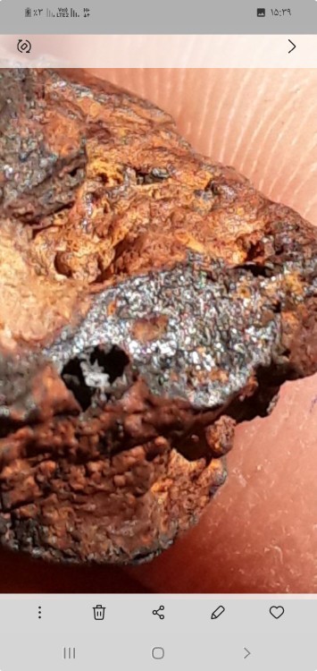 من همش بهشون نگاه میکنم 