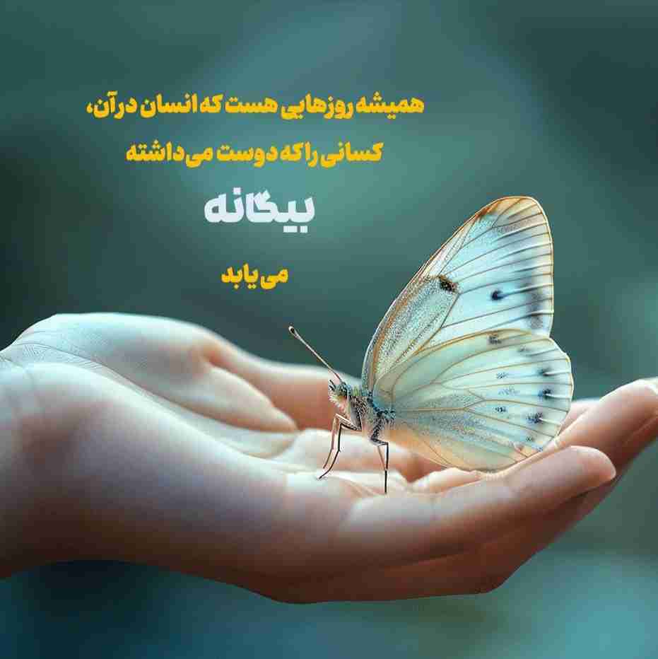 ✔️ به امید روزی که دوستای خوبی برای دوستامون باشیم و دوستامون دوستایی خوبی برای ما باشند..چه دوست  تو  دوستی شد دوستان😁.❤️💙❤️