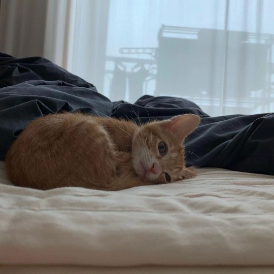 پرسید در چه حالی؟پاسخ ز دیده‌ام ریخت🥺