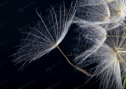 بدون شرح......