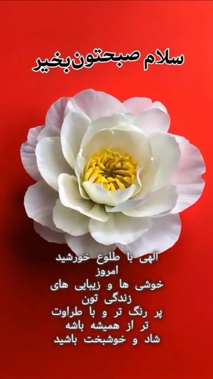 سلام دوستان🌹