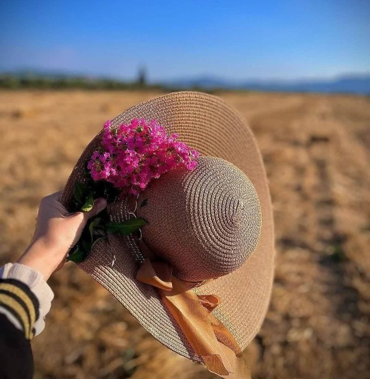 روزتون پر از حس زندگی🌹