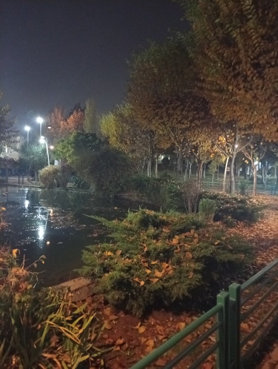 در نمازم خم ابروی تو بیاد آمد 