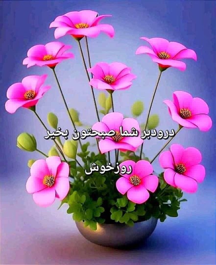 روزی پراز خیروبرکتی داشته باشین🙂