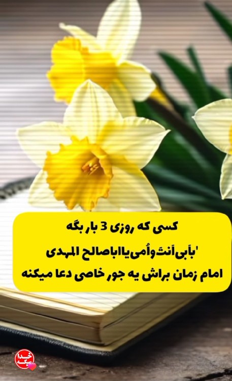 یا مهدی ادرکنا  عجل علی ظهورک